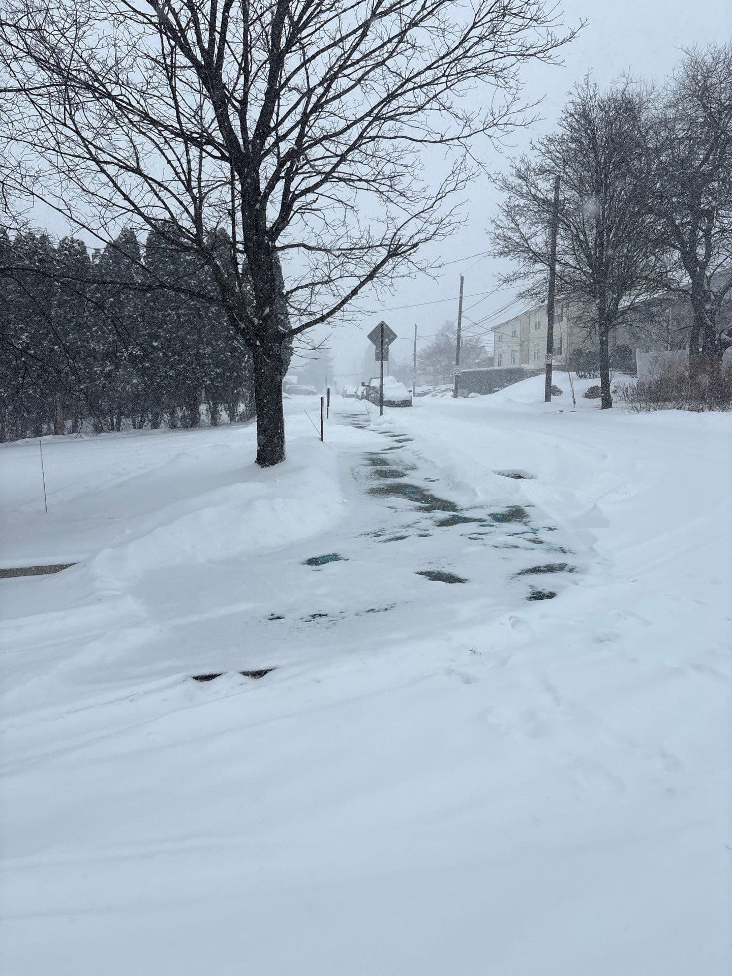 Gallery photos for Managing Winter Storm Fern with Expert Snow Removal Services: Image #2