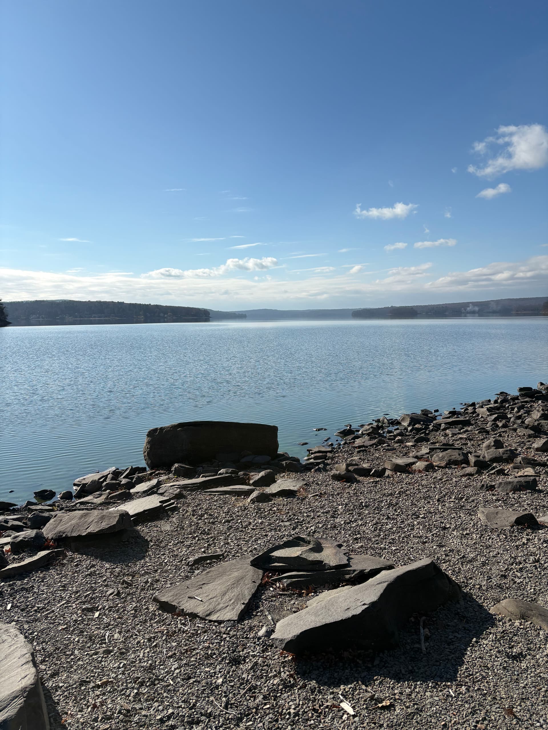 Embrace Nature's Beauty in Your Landscape image