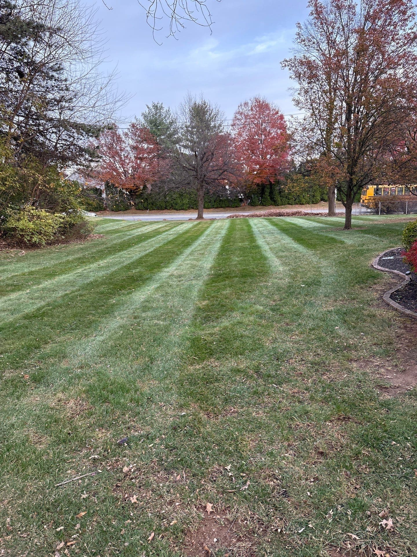 Elevate Your Lawn - Stunning Patterns for Fall Days image