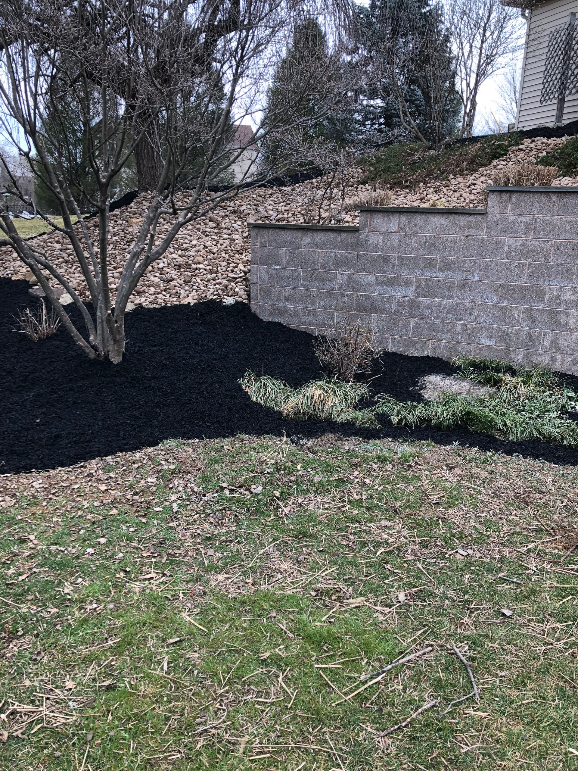 Elevate Your Landscape with Mulch and Rock image